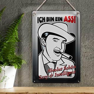 Blechschild Spruch 20x30cm ich bin ASSI schön intelligent