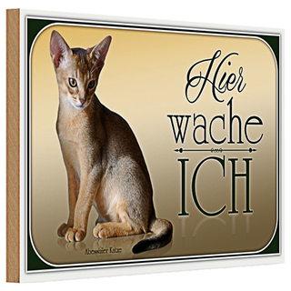 Holzschild Katze 30x20cm Abessinier Katze hier wache ich