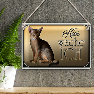 Blechschild Katze 30x20cm Abessinier Katze hier wache ich