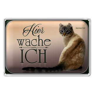 Blechschild Katze 30x20cm American Curl hier wache ich
