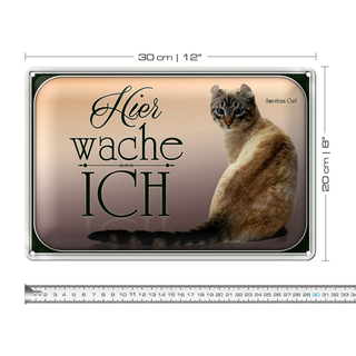 Blechschild Katze 30x20cm American Curl hier wache ich