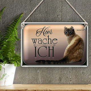 Blechschild Katze 30x20cm American Curl hier wache ich