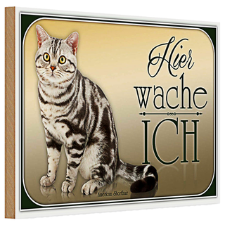 Holzschild Katze 30x20cm American Shorthair hier wache