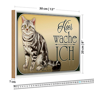 Holzschild Katze 30x20cm American Shorthair hier wache