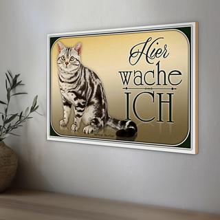Holzschild Katze 30x20cm American Shorthair hier wache