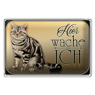Blechschild Katze 30x20cm American Shorthair hier wache