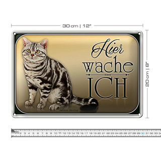 Blechschild Katze 30x20cm American Shorthair hier wache