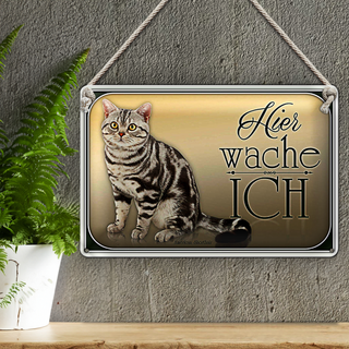 Blechschild Katze 30x20cm American Shorthair hier wache