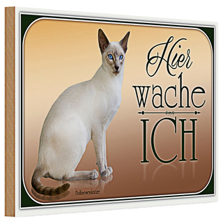 Holzschild Katze 30x20cm Balinesenkatze hier wache ich