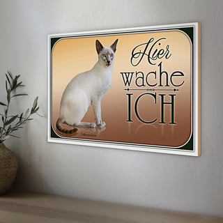 Holzschild Katze 30x20cm Balinesenkatze hier wache ich