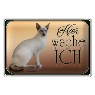 Blechschild Katze 30x20cm Balinesenkatze hier wache ich
