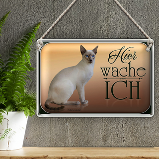 Blechschild Katze 30x20cm Balinesenkatze hier wache ich