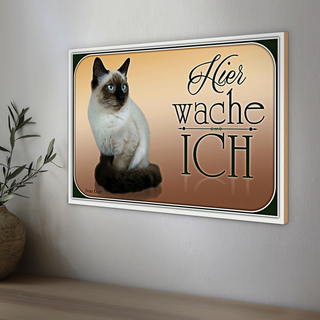 Holzschild Katze 30x20cm Birma Katze hier wache ich
