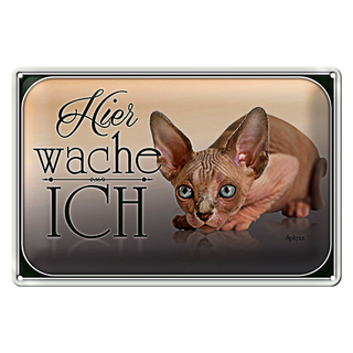 Blechschild Katze 30x20cm Sphynx hier wache ich