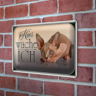 Blechschild Katze 30x20cm Sphynx hier wache ich