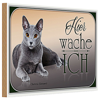 Holzschild Katze 30x20cm Chartreux hier wache ich