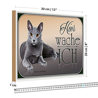 Holzschild Katze 30x20cm Chartreux hier wache ich