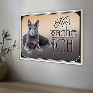 Holzschild Katze 30x20cm Chartreux hier wache ich
