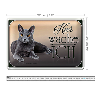 Blechschild Katze 30x20cm Chartreux hier wache ich