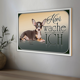 Holzschild Hund 30x20cm Welsh Corgi hier wache ich