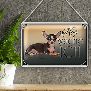 Blechschild Hund 30x20cm Welsh Corgi hier wache ich