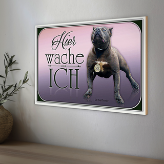 Holzschild Hund 30x20cm Pit Bull Terrier hier wache ich