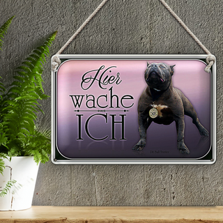 Blechschild Hund 30x20cm Pit Bull Terrier hier wache ich