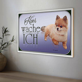 Holzschild Hund 30x20cm Zwergspitz hier wache ich