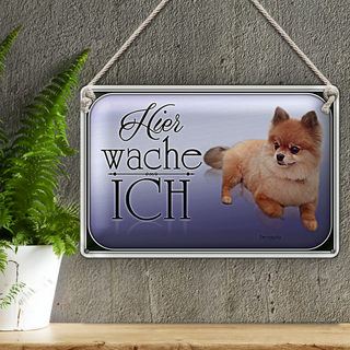 Blechschild Hund 30x20cm Zwergspitz hier wache ich
