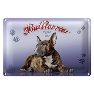 Blechschild Hund 30x20cm Bullterrier England 1850
