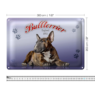 Blechschild Hund 30x20cm Bullterrier England 1850