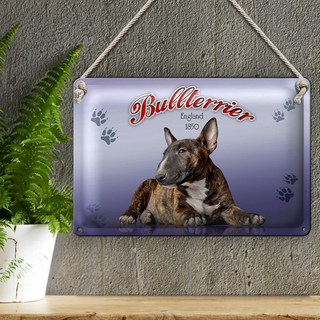 Blechschild Hund 30x20cm Bullterrier England 1850