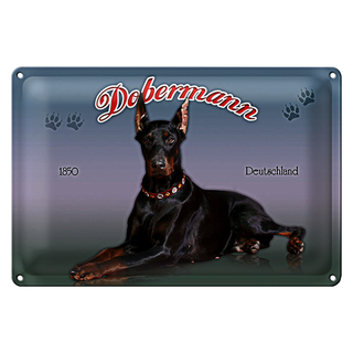 Blechschild Hund 30x20cm Dobermann 1850 Deutschland