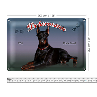 Blechschild Hund 30x20cm Dobermann 1850 Deutschland