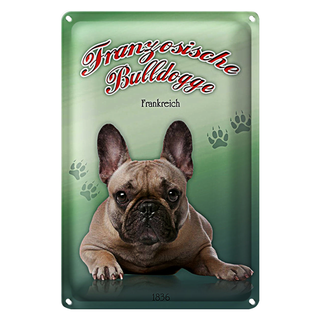 Blechschild Hund 20x30cm Französische Bulldogge