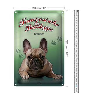 Blechschild Hund 20x30cm Französische Bulldogge