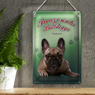 Blechschild Hund 20x30cm Französische Bulldogge