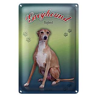 Blechschild Hund 20x30cm Greyhound England