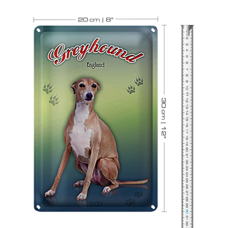 Blechschild Hund 20x30cm Greyhound England