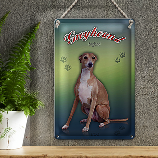 Blechschild Hund 20x30cm Greyhound England
