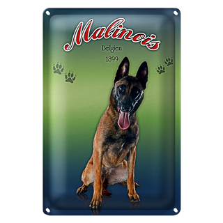 Blechschild Hund 20x30cm Malinois Belgien 1899