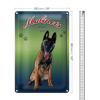 Blechschild Hund 20x30cm Malinois Belgien 1899