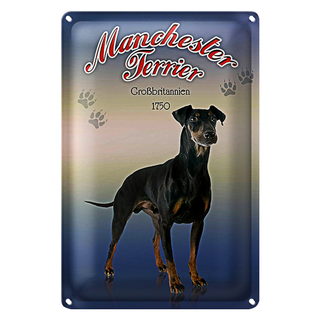 Blechschild Hund 20x30cm Manchester Terrier Großbritanien