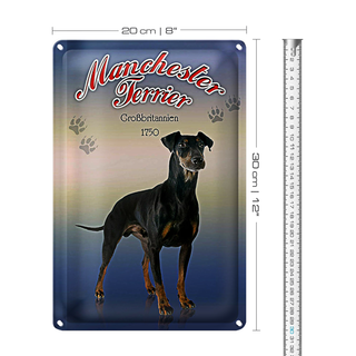 Blechschild Hund 20x30cm Manchester Terrier Großbritanien