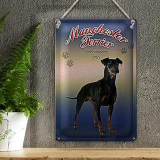 Blechschild Hund 20x30cm Manchester Terrier Großbritanien
