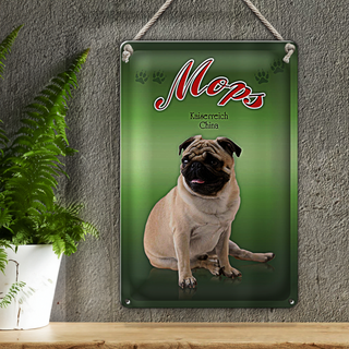 Blechschild Hund 20x30cm Mops Kaiserreich China