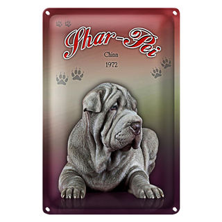 Blechschild Hund 20x30cm Shar-Pei China 1972