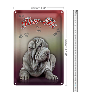 Blechschild Hund 20x30cm Shar-Pei China 1972
