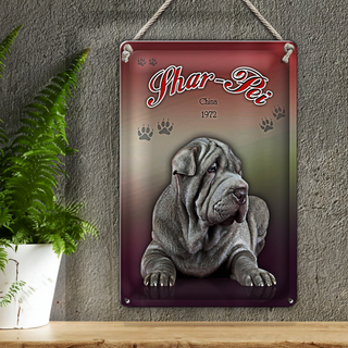 Blechschild Hund 20x30cm Shar-Pei China 1972