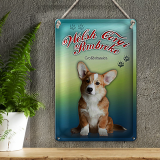Blechschild Hund 20x30cm Welsh Corgi Pembroke